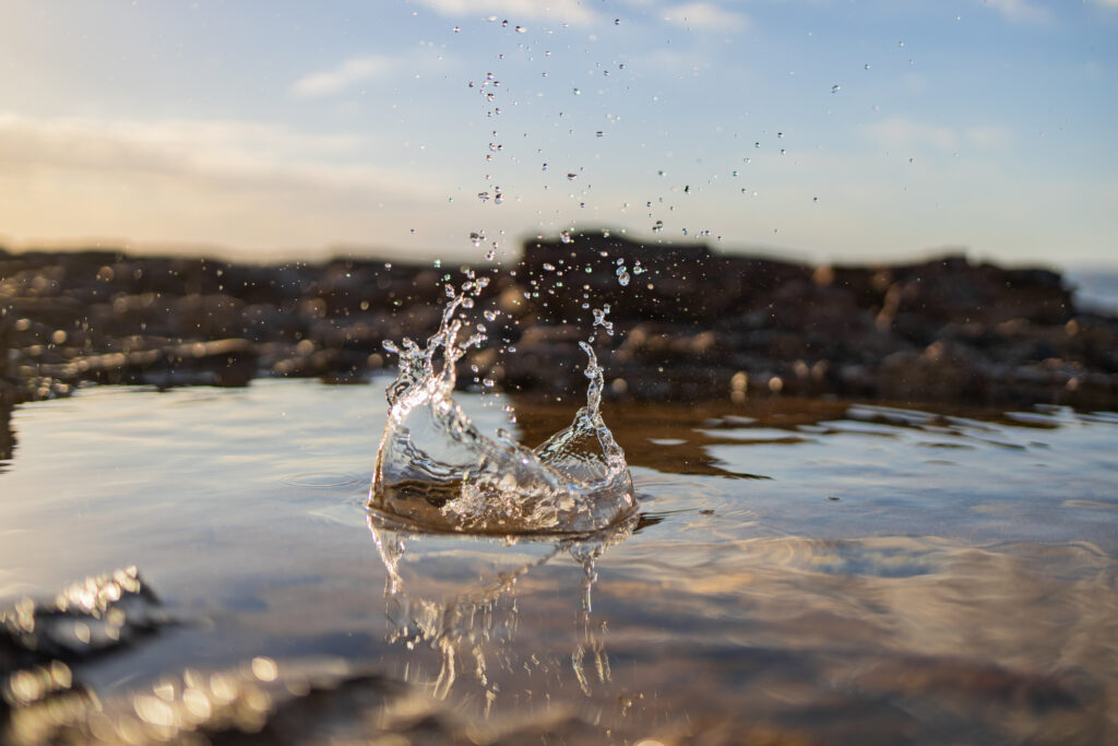 Melbourne’s Water